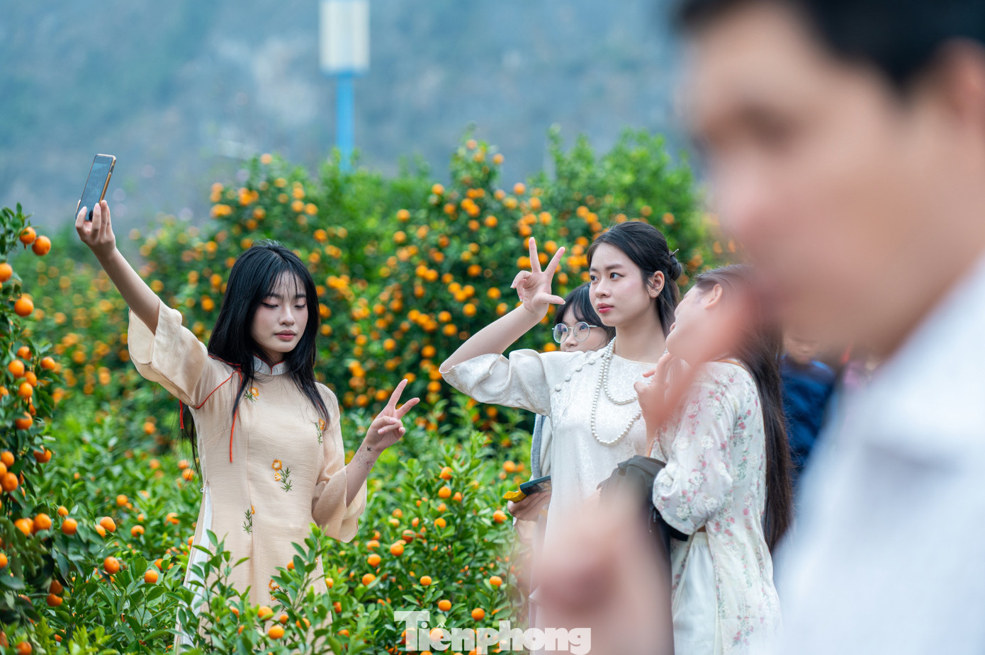 Nguyễn Dương (trú phường Hồng Hải, TP Hạ Long) tự tin thả dáng chụp ảnh check-in cùng nhóm bạn giữa quầy quất cảnh. "Thời tiết những ngày này có nắng. Chợ hoa rất đẹp, em mong sẽ có được nhiều bức ảnh đẹp để khoe bạn bè", Dương chia sẻ.