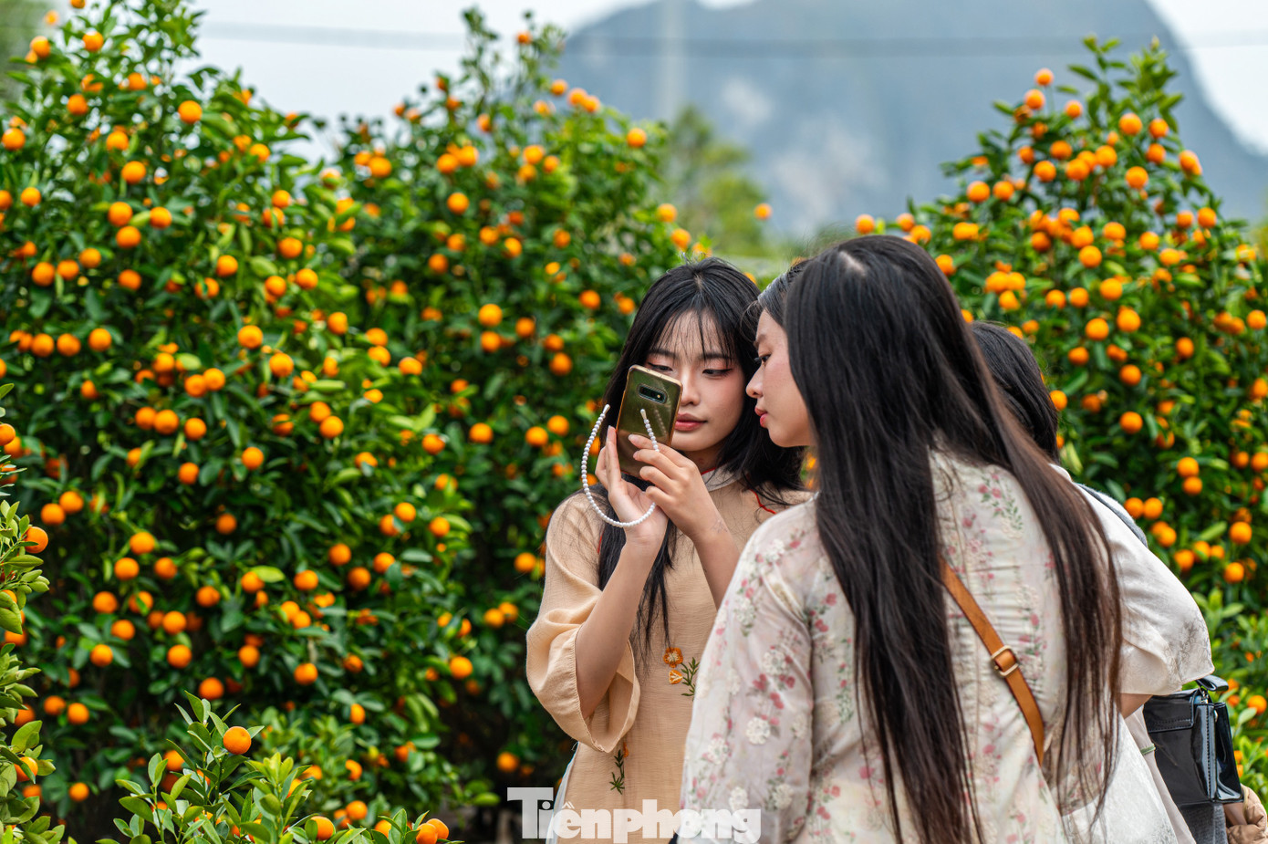 Nguyễn Dương (trú phường Hồng Hải, TP Hạ Long) tự tin thả dáng chụp ảnh check-in cùng nhóm bạn giữa quầy quất cảnh. "Thời tiết những ngày này có nắng. Chợ hoa rất đẹp, em mong sẽ có được nhiều bức ảnh đẹp để khoe bạn bè", Dương chia sẻ.