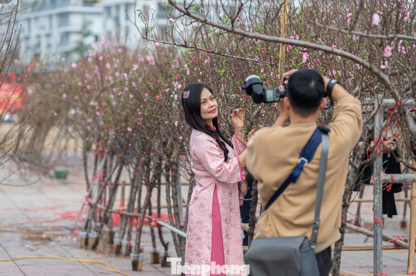 Ngoài ra, nhiều người có điều kiện thuê thợ chụp từ những studio lớn ở Hạ Long.