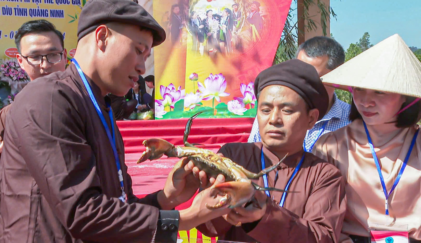 Có 8 đội tham gia hội thi đến từ các thôn trên địa bàn xã Hải Lạng. Các đội thi trải qua các phần thi để tuyển chọn đệ nhất cua đực, đệ nhất cua cái và đệ nhất đôi cua.