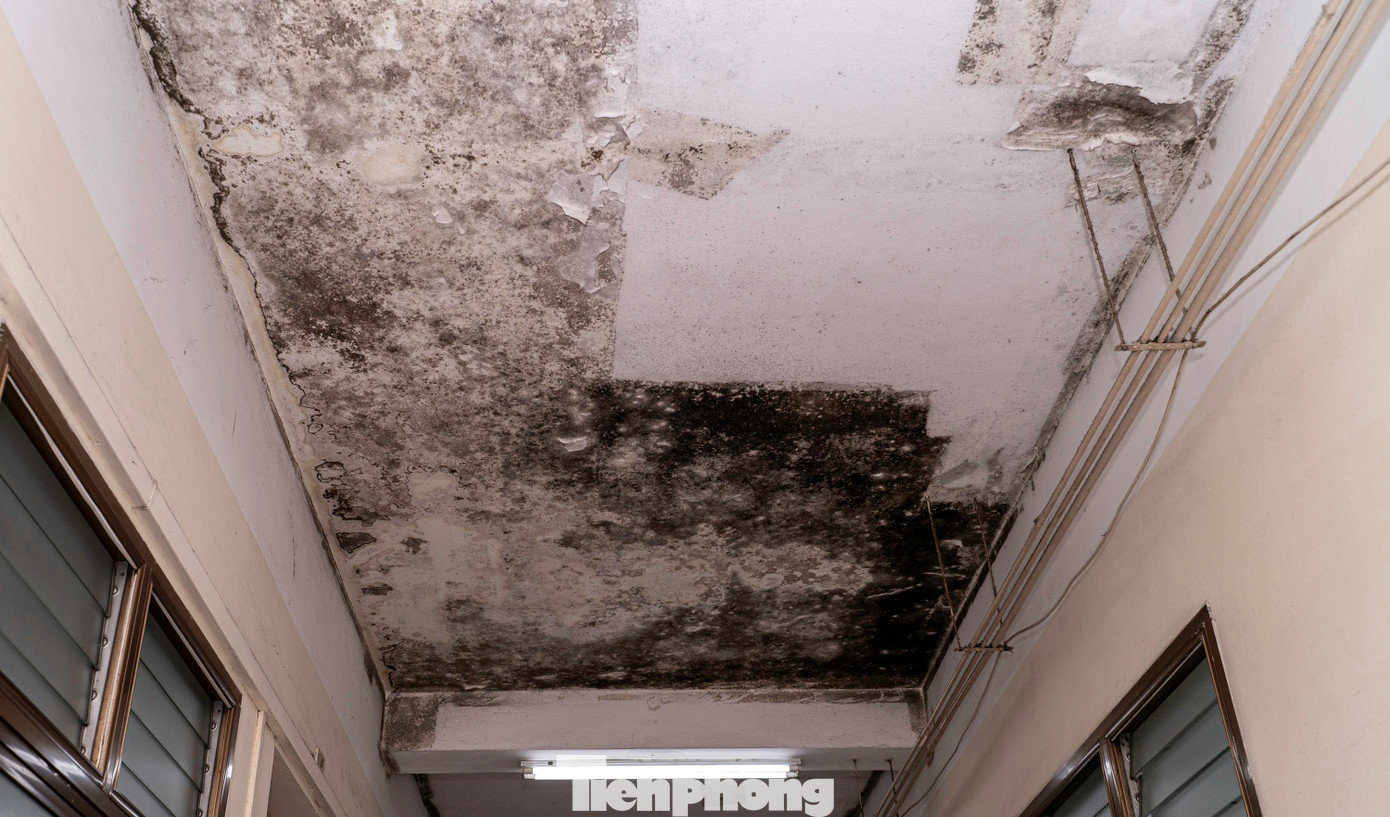 Ngoài ra, sau 23 năm hoạt động sau nhiều quá trình xây dựng chắp vá, thiếu đồng bộ, một số công trình đã có dấu hiệu xuống cấp, diện tích mặt bằng chật hẹp, các phân khu chức năng phân tán. Tất cả đang trở thành rào cản lớn cho việc nâng cao chất lượng khám, chữa bệnh.