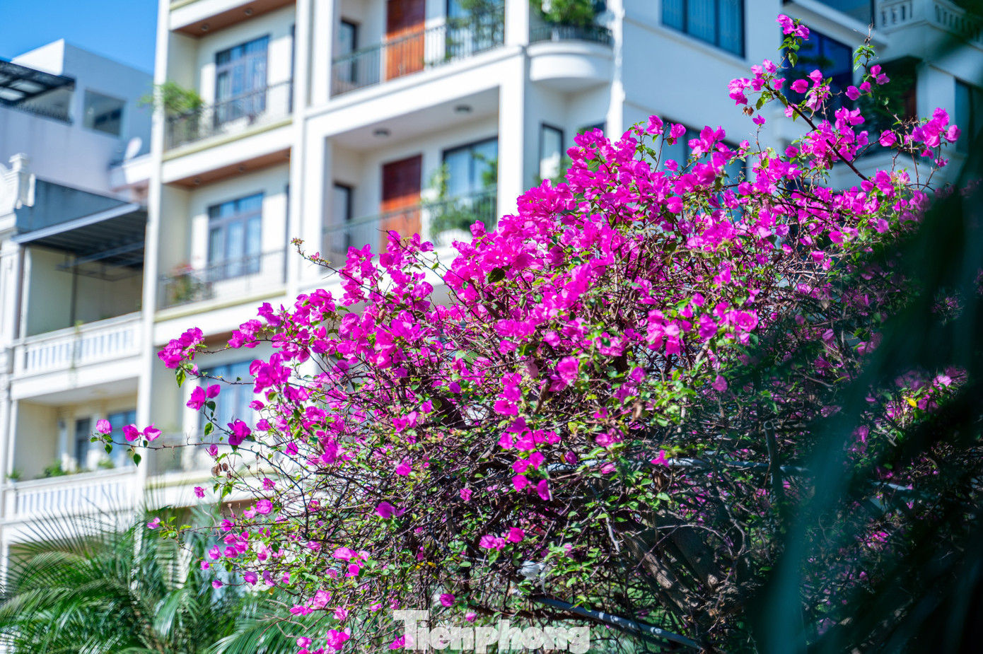 Ghi nhận của báo Tiền Phong, tại tuyến phố Hải Phúc, việc thi công hoàn thiện cải tạo đã hoàn thành tạo nên diện mạo mới cho khu phố này.