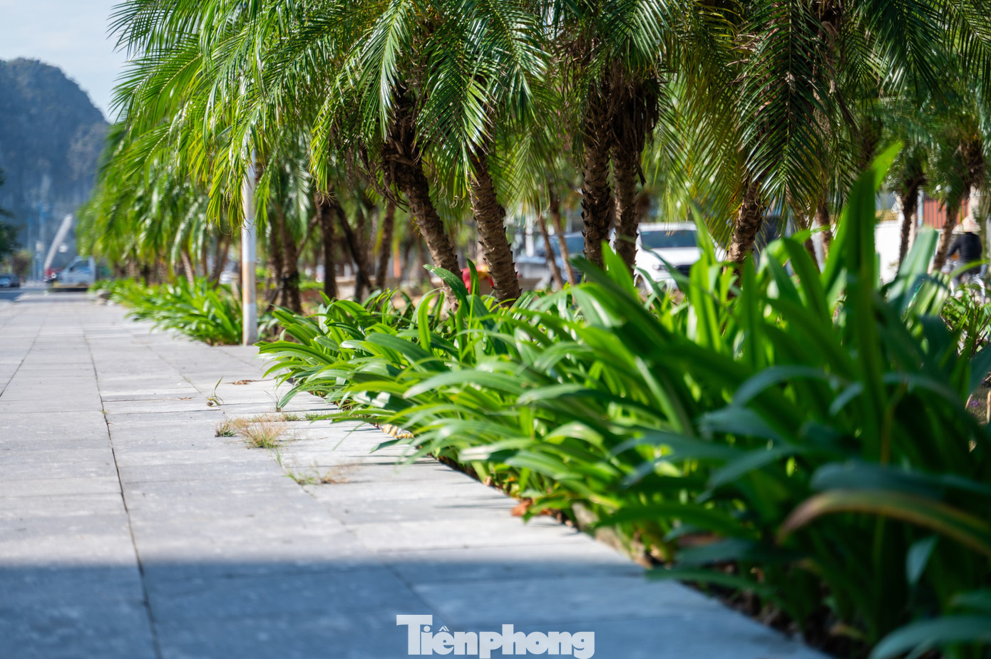 Ghi nhận của báo Tiền Phong, tại tuyến phố Hải Phúc, việc thi công hoàn thiện cải tạo đã hoàn thành tạo nên diện mạo mới cho khu phố này.