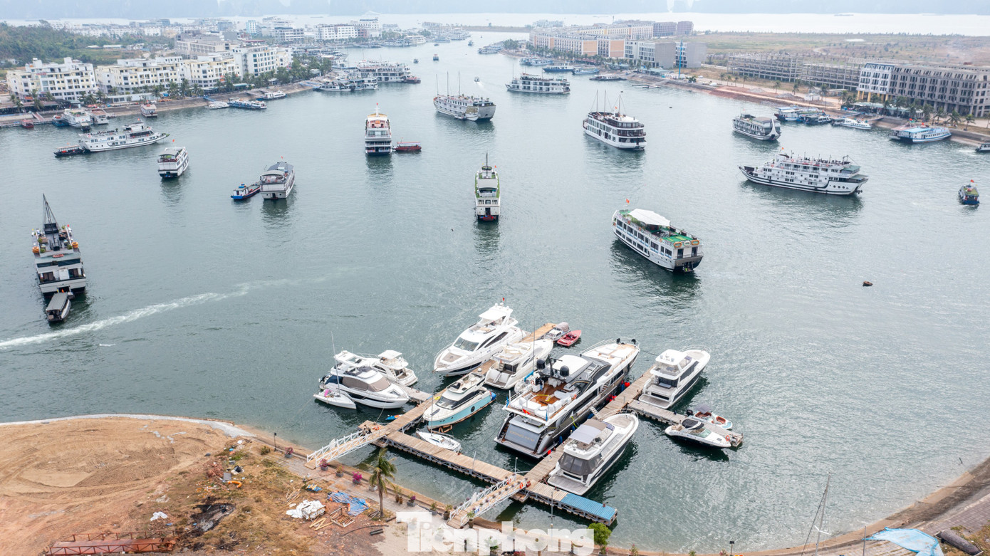 Chiếc du thuyền này đang neo đậu tại bến du thuyền nằm trong Cảng tàu khách quốc tế Tuần Châu. Đây là một trong số ít bến cảng của Hạ Long có thể tiếp nhận và có các dịch vụ hậu cần phục vụ việc neo đậu du thuyền.