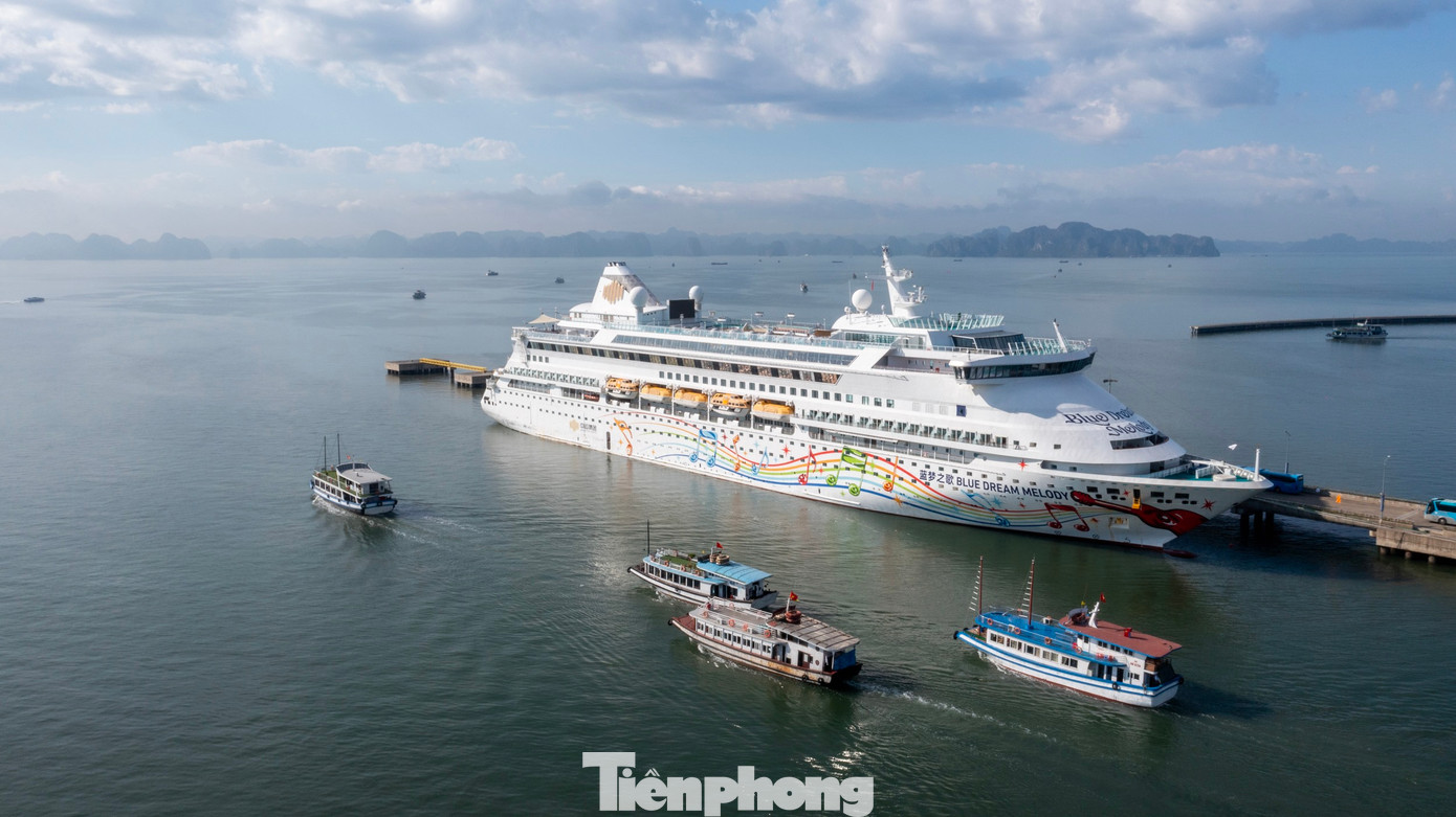 Du khách sau khi rời tàu sẽ được đi tham quan vịnh Hạ Long và các địa điểm nổi tiếng và tham gia các hoạt động trải nghiệm ẩm thực, văn hóa của thành phố.