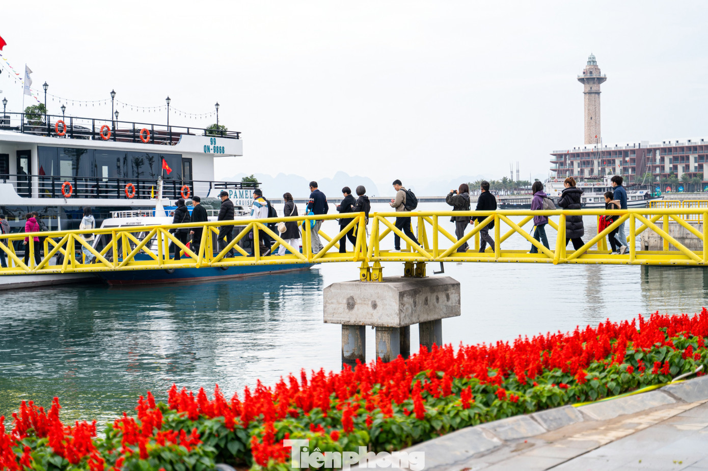 Cảng tàu khách quốc tế Hạ Long là cảng hành khách vừa đón tiếp tàu biển quốc tế cỡ lớn vừa tiếp nhận các tàu nhỏ, đưa 2.500 khách tham quan vịnh Hạ Long ngày mùng 1 Tết.