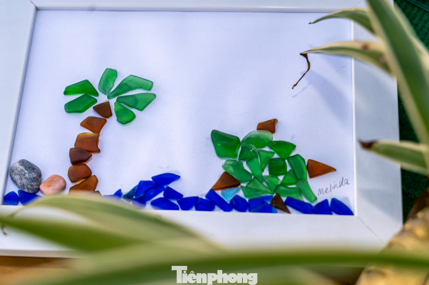 Đặc biệt, năm 2019, Quảng Ninh là một trong các tỉnh, thành phố đầu tiên của cả nước phát động ở quy mô toàn tỉnh thực hiện chiến dịch “Chống rác thải nhựa” huy động sự tham gia của cả hệ thống chính trị, cộng đồng doanh nghiệp và người dân. Quảng Ninh đã ban hành nhiều văn bản chỉ đạo có tính nền tảng và chiến lược, tạo khung pháp lý đồng bộ và thống nhất trong công tác triển khai thực hiện “Chống ô nhiễm nhựa”.