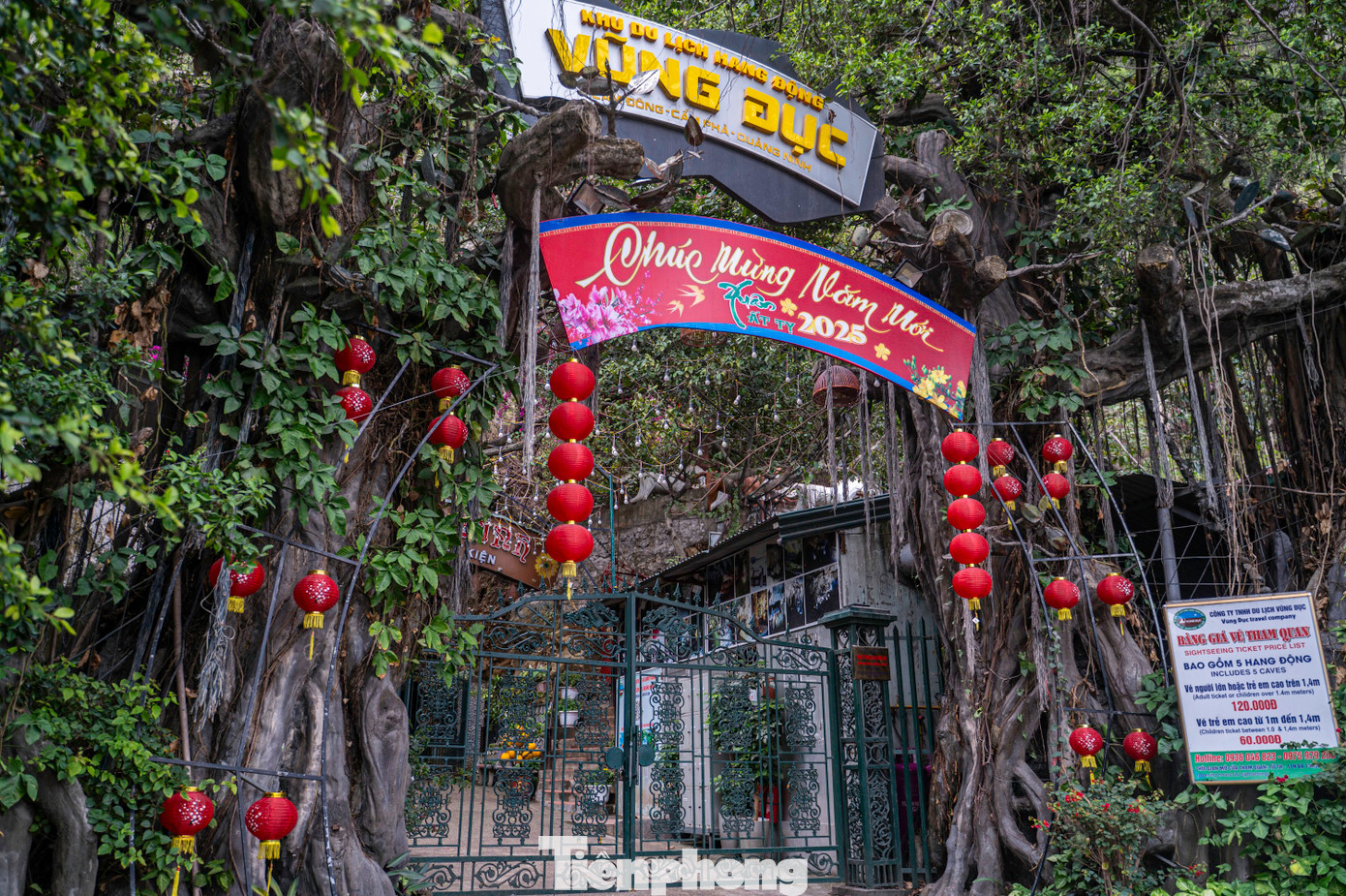 Sau đó, cụm di tích lịch sử và danh thắng Vũng Đục được lập quy hoạch bao gồm khu đài tưởng niệm và các hang động nằm trong núi Bàn Cờ như: Động Ngỡ Ngàng, hang Kim Quy, động Thiên Đăng, động Cung Đình... và giao cho Công ty cổ phần Vũng Đục tổ chức khai thác, bảo vệ và quản lý.