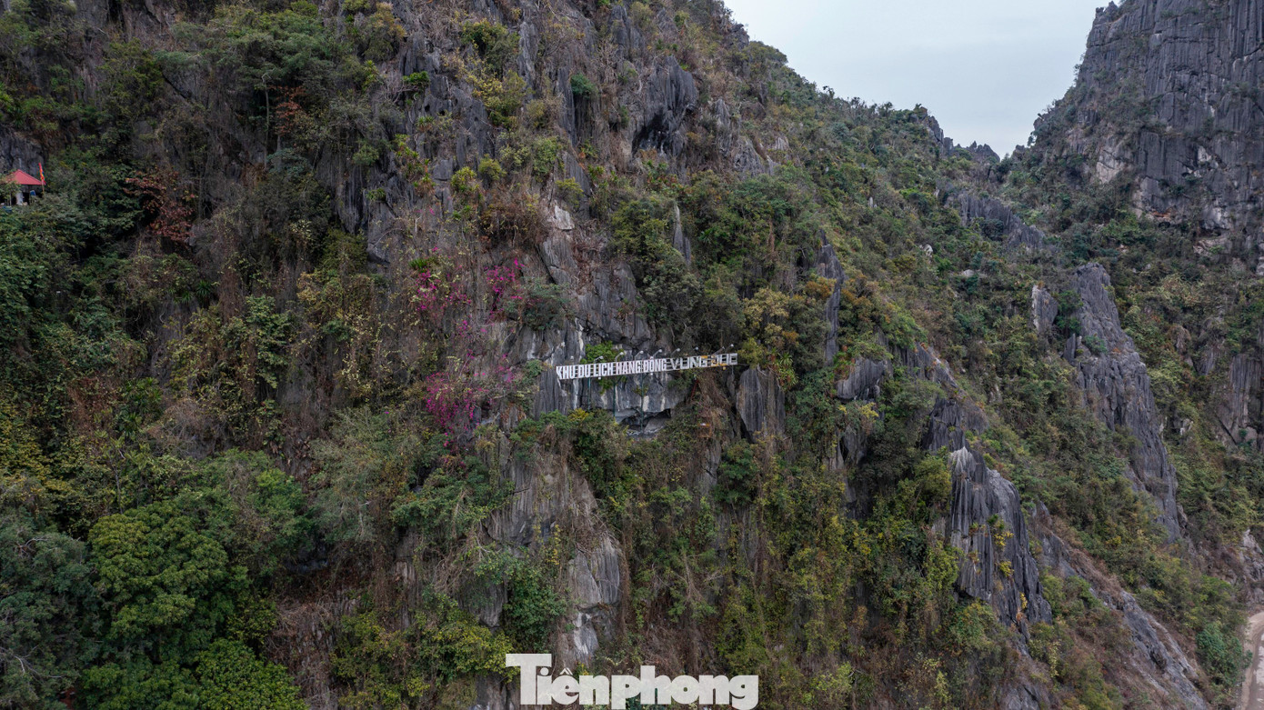 Cụm di tích lịch sử danh thắng Vũng Đục nằm bao quanh dãy núi Bàn Cờ nằm bên bờ vịnh Bái Tử Long thuộc khu Diêm Thủy, phường Cẩm Đông, TP Cẩm Phả, tỉnh Quảng Ninh.