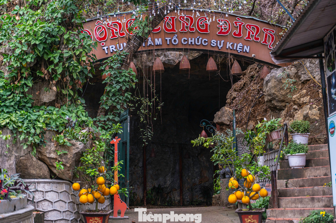 Ghi nhận của PV Tiền Phong, ngay từ cổng vào động Cung Đình sau khu vực bán vé tham quan, một tấm biển lớn với hàng chữ "Trung tâm tổ chức sự kiện" mọc lên.