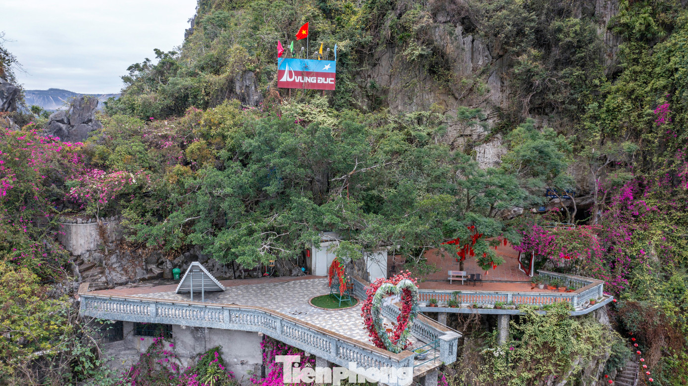 Trao đổi với PV Tiền Phong, đại diện UBND thành phố Cẩm Phả cho biết đây là hang động nằm trong quần thể di tích lịch sử và danh thắng Vũng Đục, là khu vực không cho phép tổ chức sự kiện mà chỉ được vào tham quan. Tuy vậy, thời gian vừa qua nơi này đã đón hàng nghìn người vào vui chơi và tổ chức nhiều hoạt động khác nhau như tiệc cưới, teambuilding…