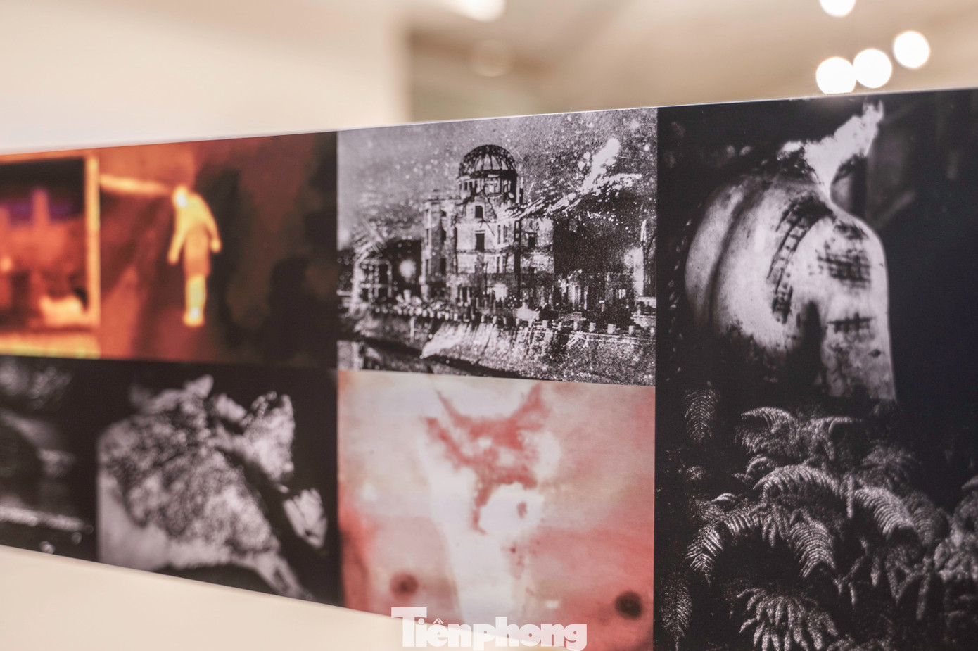 Trước đó, các đại biểu, diễn giả được đi tham quan phòng triển lãm các bức ảnh và tư liệu ghi lại hình ảnh thảm họa bom hạt nhân tại Hiroshima và Nagasaki, Nhật Bản vào ngày 6 và 9 tháng 8 năm 1945.