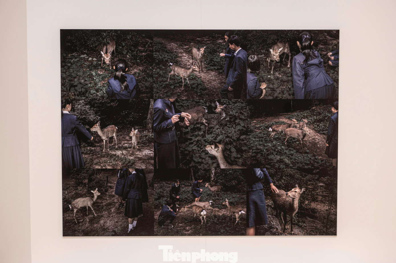 Ước tính có hàng trăm nghìn người tại hai thành phố này thiệt mạng và nhiều người khác phải hứng chịu hệ lụy như bỏng, phóng xạ trong thời gian dài. Những người sống sót tiếp tục chết trong tương lai do bị bệnh ung thư. Những di chứng của vụ thảm họa hạt nhân tiếp tục tồn tại đến môi trường sống và con người kéo dài đến tận ngày nay.