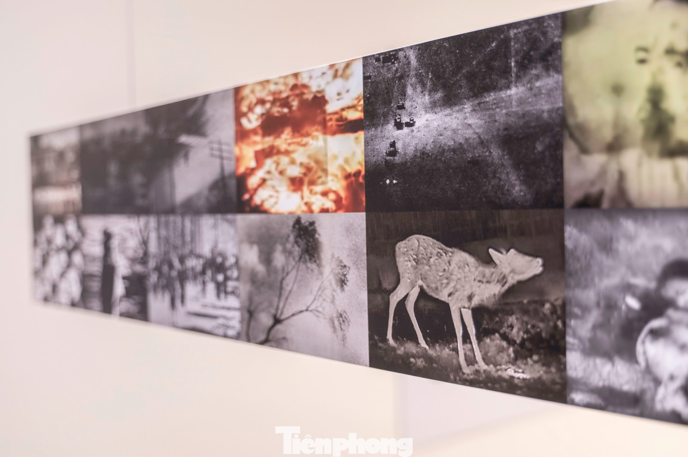 Trước đó, các đại biểu, diễn giả được đi tham quan phòng triển lãm các bức ảnh và tư liệu ghi lại hình ảnh thảm họa bom hạt nhân tại Hiroshima và Nagasaki, Nhật Bản vào ngày 6 và 9 tháng 8 năm 1945.