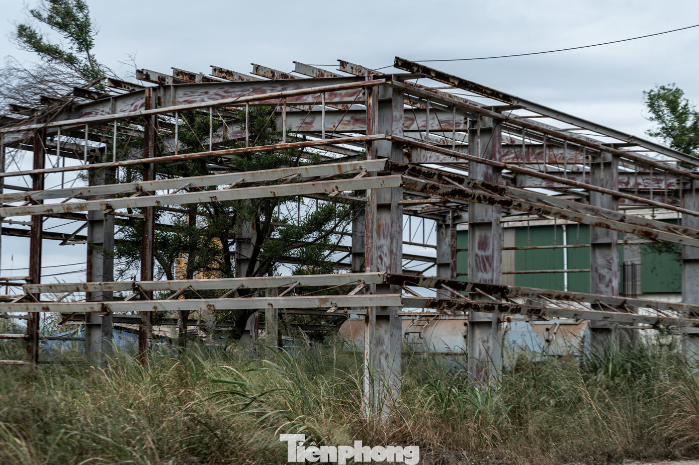 'Di sản' nghìn tỷ bỏ hoang thời Vinashin nhận thêm kết đắng khi Cục thuế Quảng Ninh ra quyết định cưỡng chế thi hành quyết định hành chính về quản lý thuế bằng biện pháp ngừng sử dụng hóa đơn do có số tiền quá hạn nộp, phải thực hiện cưỡng chế theo quy định tại Luật Quản lý thuế, với số tiền bị cưỡng chế là hơn 4,1 tỷ đồng. 'Di sản' nghìn tỷ bỏ hoang thời Vinashin nhận thêm kết đắng khi Cục thuế Quảng Ninh ra quyết định cưỡng chế thi hành quyết định hành chính về quản lý thuế bằng biện pháp ngừng sử dụng hóa đơn do có số tiền quá hạn nộp, phải thực hiện cưỡng chế theo quy định tại Luật Quản lý thuế, với số tiền bị cưỡng chế là hơn 4,1 tỷ đồng.