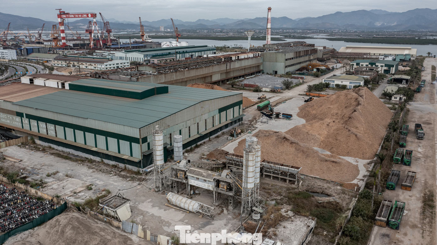 Vị trí nhà máy cũng được đặt ngay cạnh tổ hợp đóng tàu Hạ Long để đáp ứng nhu cầu cho ngành đóng tàu và sẵn sàng cung ứng thép tấm lớn cho các đơn vị khác trong tập đoàn. Vị trí nhà máy cũng được đặt ngay cạnh tổ hợp đóng tàu Hạ Long để đáp ứng nhu cầu cho ngành đóng tàu và sẵn sàng cung ứng thép tấm lớn cho các đơn vị khác trong tập đoàn.