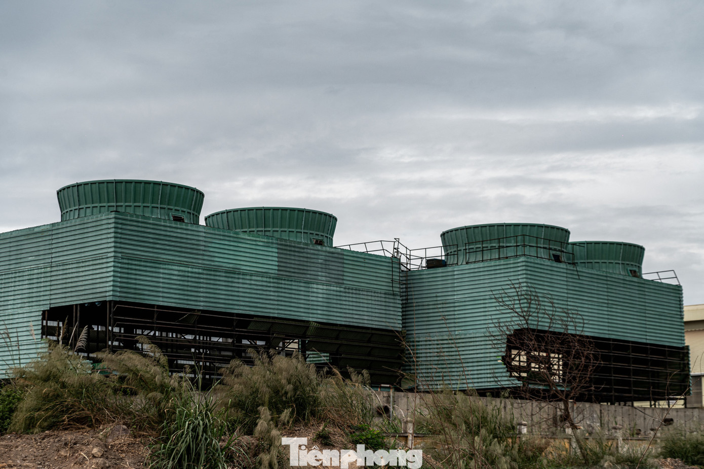 Thông tin từ Công ty TNHH MTV cán nóng thép tấm Cái Lân cho hay nguyên nhân khiến nhà máy này bị bỏ hoang là do công ty mẹ Vinashin làm ăn thua lỗ. Điều đó khiến số phận của các công ty thành viên cũng rơi vào tình cảnh "chết yểu". Sau đại án Vinashin, nhà máy đã từng được đưa ra để bán nhưng không đơn vị nào mặn mà muốn mua do công nghệ đã lỗi thời và nhà máy đang mắc khoản nợ chủ yếu từ nguồn trái phiếu chính phủ cùng một số ngân hàng đang là rào cản, dẫn đến “bế tắc” phương án phục hồi sản xuất. Thông tin từ Công ty TNHH MTV cán nóng thép tấm Cái Lân cho hay nguyên nhân khiến nhà máy này bị bỏ hoang là do công ty mẹ Vinashin làm ăn thua lỗ. Điều đó khiến số phận của các công ty thành viên cũng rơi vào tình cảnh "chết yểu". Sau đại án Vinashin, nhà máy đã từng được đưa ra để bán nhưng không đơn vị nào mặn mà muốn mua do công nghệ đã lỗi thời và nhà máy đang mắc khoản nợ chủ yếu từ nguồn trái phiếu chính phủ cùng một số ngân hàng đang là rào cản, dẫn đến “bế tắc” phương án phục hồi sản xuất.