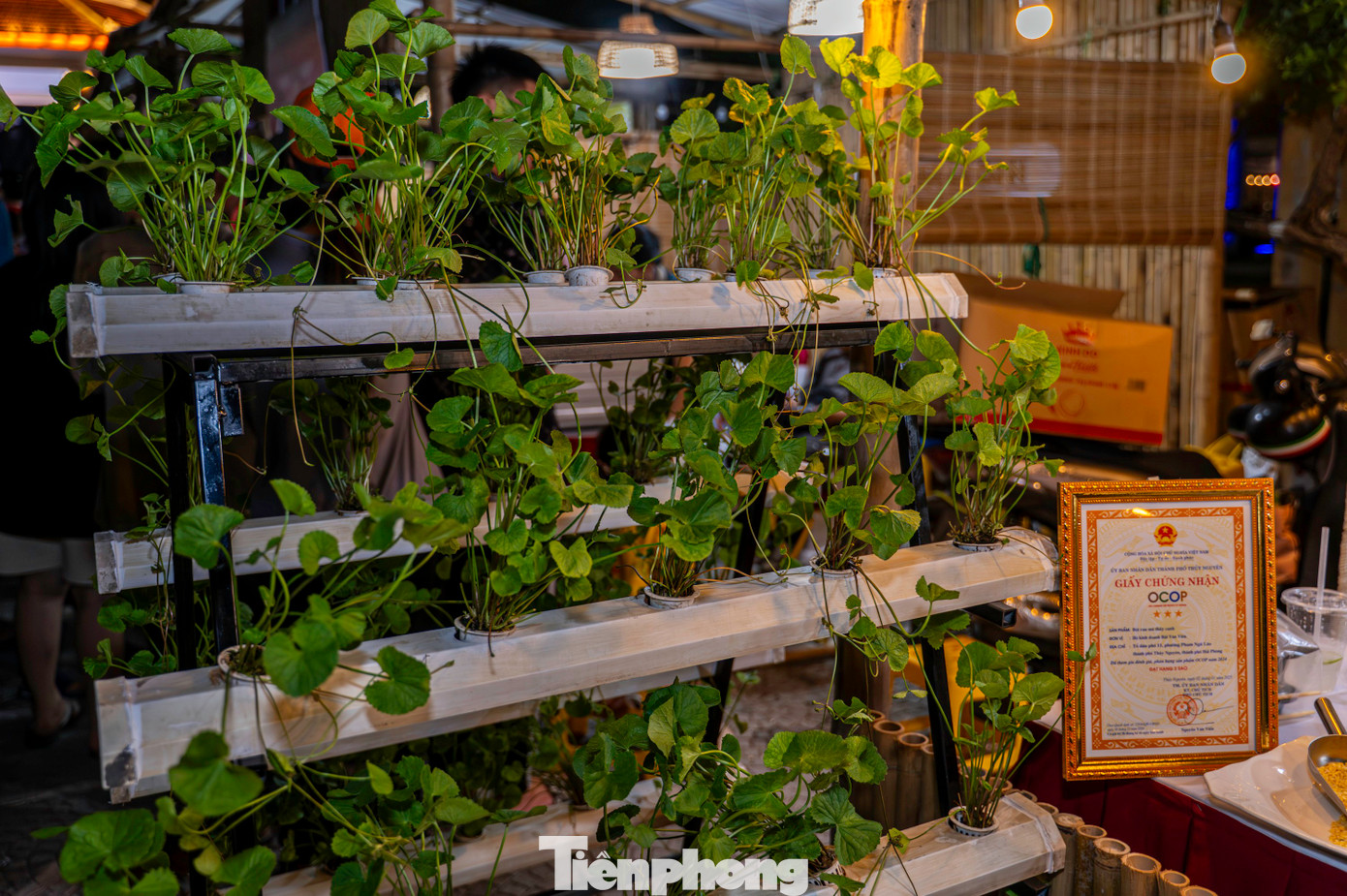 Ngoài ra, liên hoan ẩm thực món ngon Hải Phòng còn có các gian hàng sản phẩm OCOP của thành phố này. Trong đó, gian hàng đáng chú ý đến từ huyện đảo Bạch Long vĩ với hải sản như tôm, cá mực, cá cơm khô mang đậm hương vị biển đảo. Ngoài ra, liên hoan ẩm thực món ngon Hải Phòng còn có các gian hàng sản phẩm OCOP của thành phố này. Trong đó, gian hàng đáng chú ý đến từ huyện đảo Bạch Long vĩ với hải sản như tôm, cá mực, cá cơm khô mang đậm hương vị biển đảo.