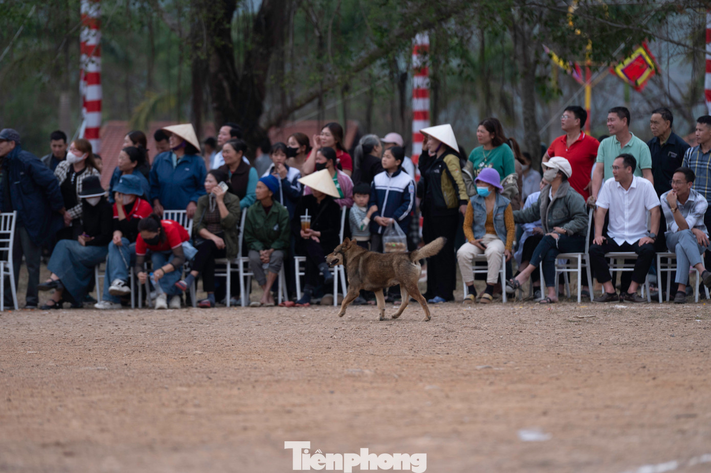 Đôi lúc trọng tài phải cho trận đấu tạm thời dừng lại giữa chừng do có "khán giả" đi lạc vào trong sân.