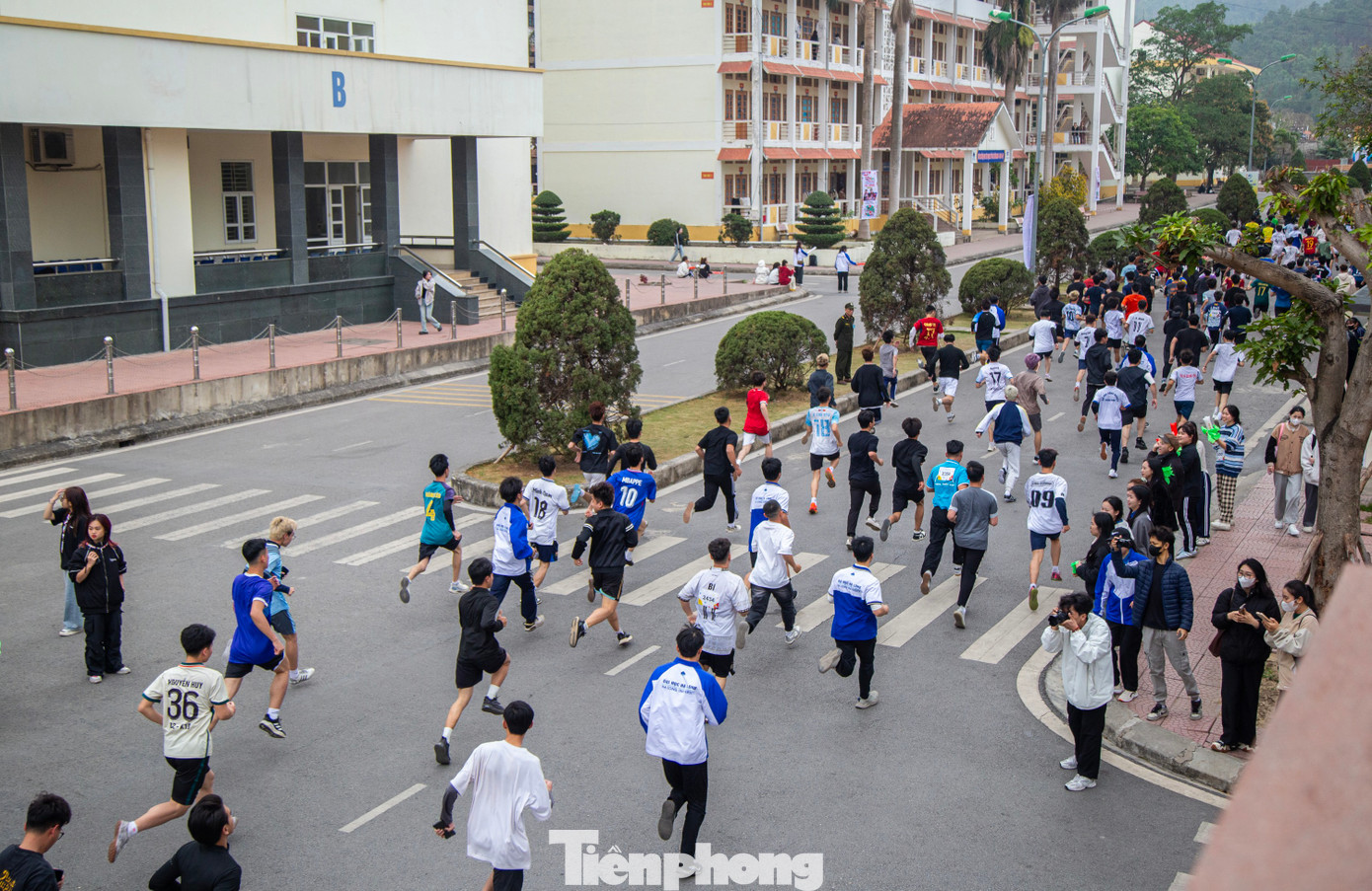 Theo đại diện Ban tổ chức, giải chạy thu hút gần 700 VĐV đến từ các trường đại học, cao đẳng trên địa bàn tỉnh Quảng Ninh. Trong đó, chiếm số đông là Trường Đại học Hạ Long (582 sinh viên), Trường Cao đẳng Việt – Hàn (50 sinh viên), Trường Cao đẳng Nông Lâm Đông Bắc (32 sinh viên).