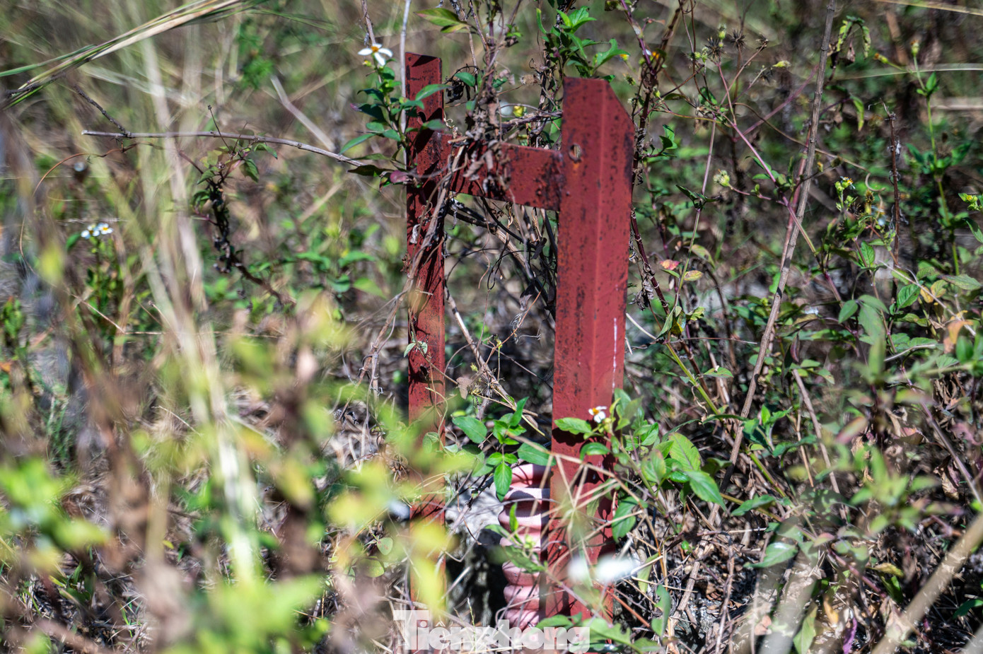 Ghi nhận của báo Tiền Phong vào những ngày đầu năm 2025, toàn bộ dự án vẫn đang trong tình trạng bỏ hoang.