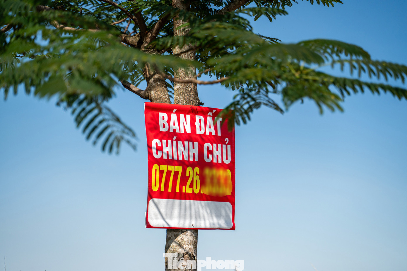 Tình trạng giới thiệu, mua bán đất tại dự án này vẫn diễn ra tấp nập.