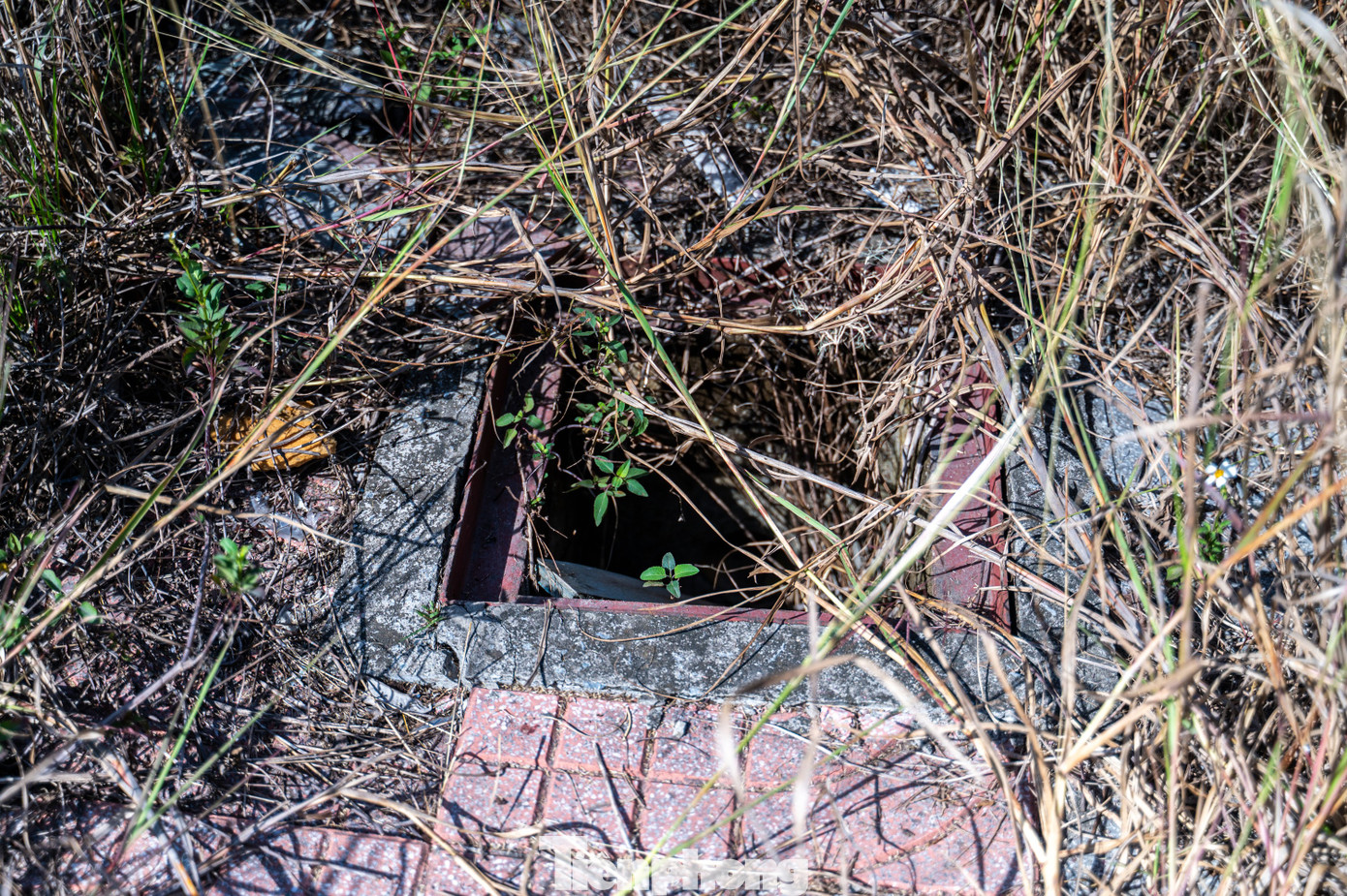 Toàn bộ khu đất phía trong và vỉa hè bị cỏ mọc bao phủ. Ngoài ra, do không có người trông coi nên tình trạng một số phương tiện chở rác thải xây dựng vào đổ trộm gây mất mỹ quan đô thị.