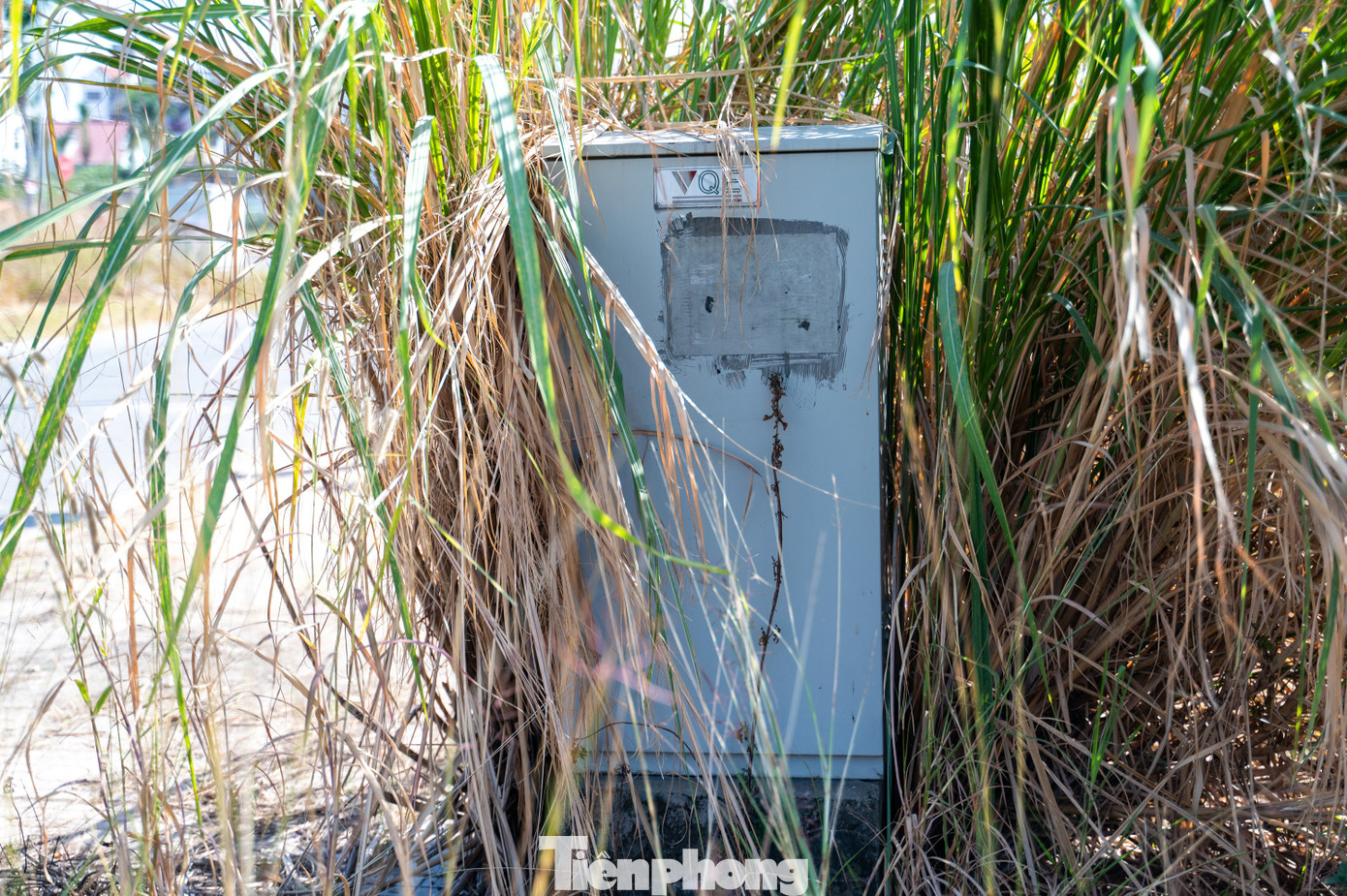 Toàn bộ khu đất phía trong và vỉa hè bị cỏ mọc bao phủ. Ngoài ra, do không có người trông coi nên tình trạng một số phương tiện chở rác thải xây dựng vào đổ trộm gây mất mỹ quan đô thị.