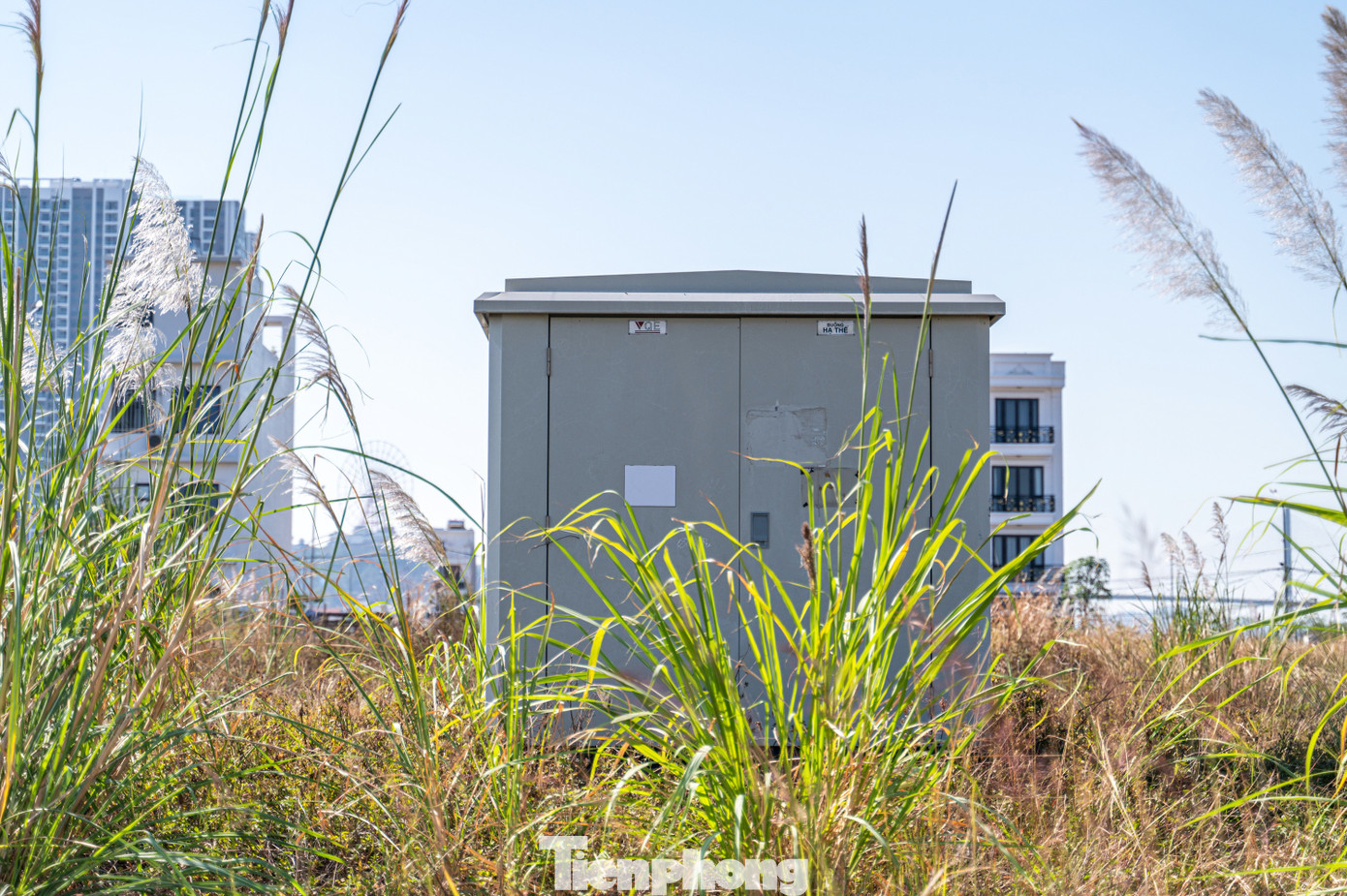 Tuy nhiên, sau hơn 15 năm thi công, dự án vẫn chưa hoàn thiện dẫn đến tình trạng cỏ mọc và rác thải đổ bừa bãi bên trong khuôn viên dự án.