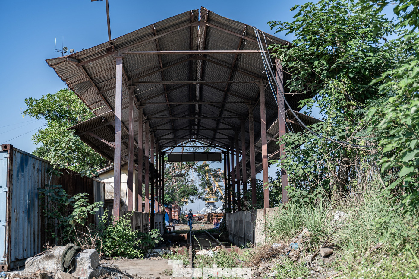 Trước chủ trương thu hồi đất, lãnh đạo Công ty Cổ phần Cảng Hải Phòng đề nghị thành phố có phương án di dời các kiện hàng tồn đọng trên mặt bằng cảng. Đồng thời, xem xét trợ cấp ngừng việc cho người lao động, phân kỳ thu hồi đất, di dời các cầu cảng, đồng thời có thời gian nâng cao khả năng tiếp nhận tàu, hàng hóa của các cảng trực thuộc khi di dời cảng Hoàng Diệu.