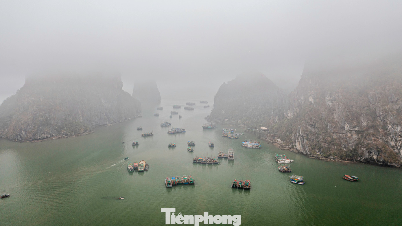 Sương mù khiến các làng chài nằm sát mép núi ven vịnh Hạ Long cũng trở nên thơ mộng hơn với người dân và khách du lịch khi đến với thành phố di sản.