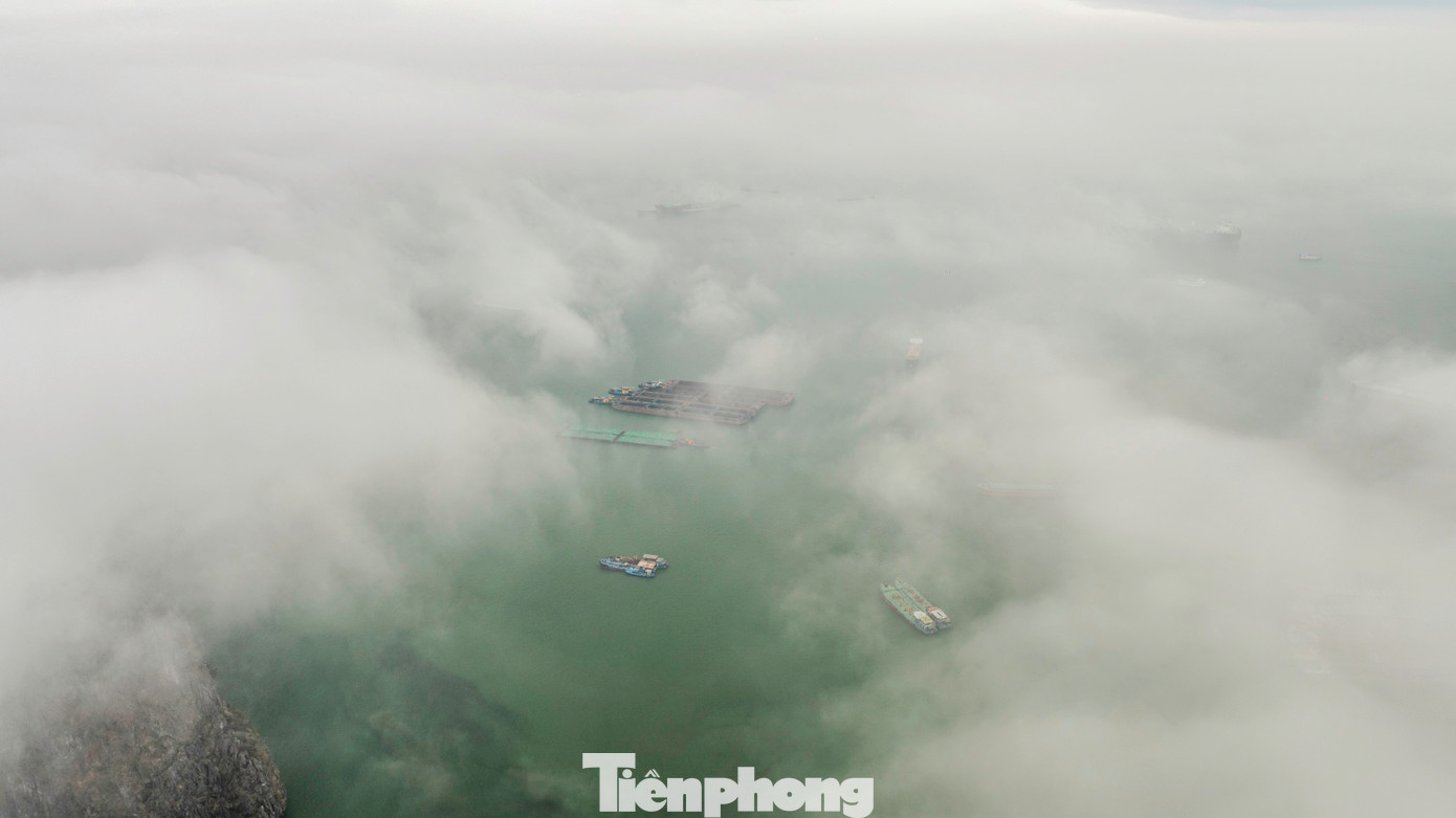 Hạ Long là Thành phố thủ phủ, trung tâm kinh tế, chính trị, văn hóa, thương mại, dịch vụ của tỉnh Quảng Ninh với Vịnh Hạ Long, được Unesco công nhận là di sản thiên nhiên của thế giới.