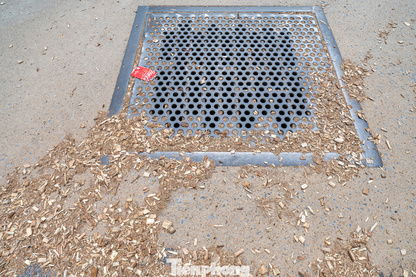 Dăm gỗ được cắt nhỏ có trọng lượng rất nhẹ nên rất dễ bay vào mắt người đi đường. Ngoài ra, gió cuốn những mảnh dăm gỗ này thành đống dọc hai bên vệ đường lấp cả hệ thống cống rãnh.