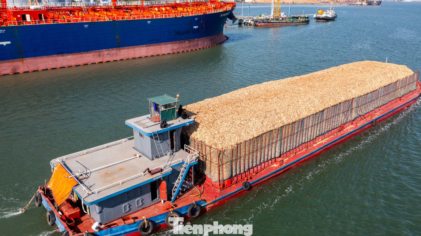 Hoạt động vận chuyển dăm gỗ còn diễn ra sôi động ở trên biển, những chiếc tàu chở dăm gỗ chạy trên biển chất hàng cao như núi, không che phủ bạt chạy từ các xưởng băm dăm gỗ tại huyện Tiên Yên về cũng gây nguy cơ ô nhiễm vùng biển thuộc vịnh Bái Tử Long, vịnh Hạ Long và vịnh Cửa Lục.