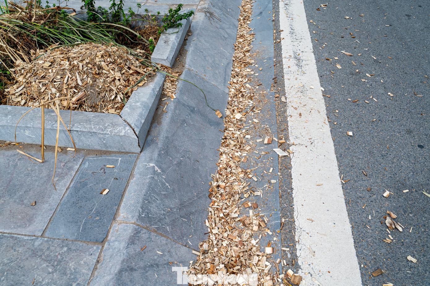 Tình trạng các xe vận chuyển làm rơi vãi dăm gỗ ra đường đã kéo dài nhiều tháng nay, nhất là những hôm có tàu cập cảng Cái Lân và cảng CICT Cái Lân để bốc hàng sẽ có hàng trăm xe tải ngược xuôi chở dăm gỗ vào cảng.