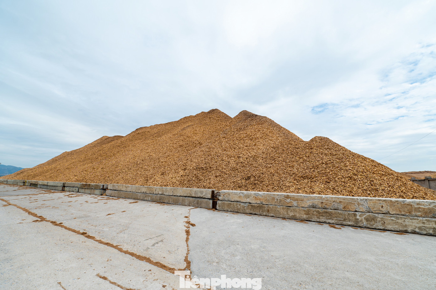 Ngoài ra, việc các doanh nghiệp lưu trữ dăm gỗ tại các bãi ngay sát biển cũng quá cao, nhìn từ xa không khác những quả “đồi” dăm gỗ và khi không được che phủ, gặp gió sẽ phát tán bụi dăm gỗ, gây ô nhiễm môi trường nước.