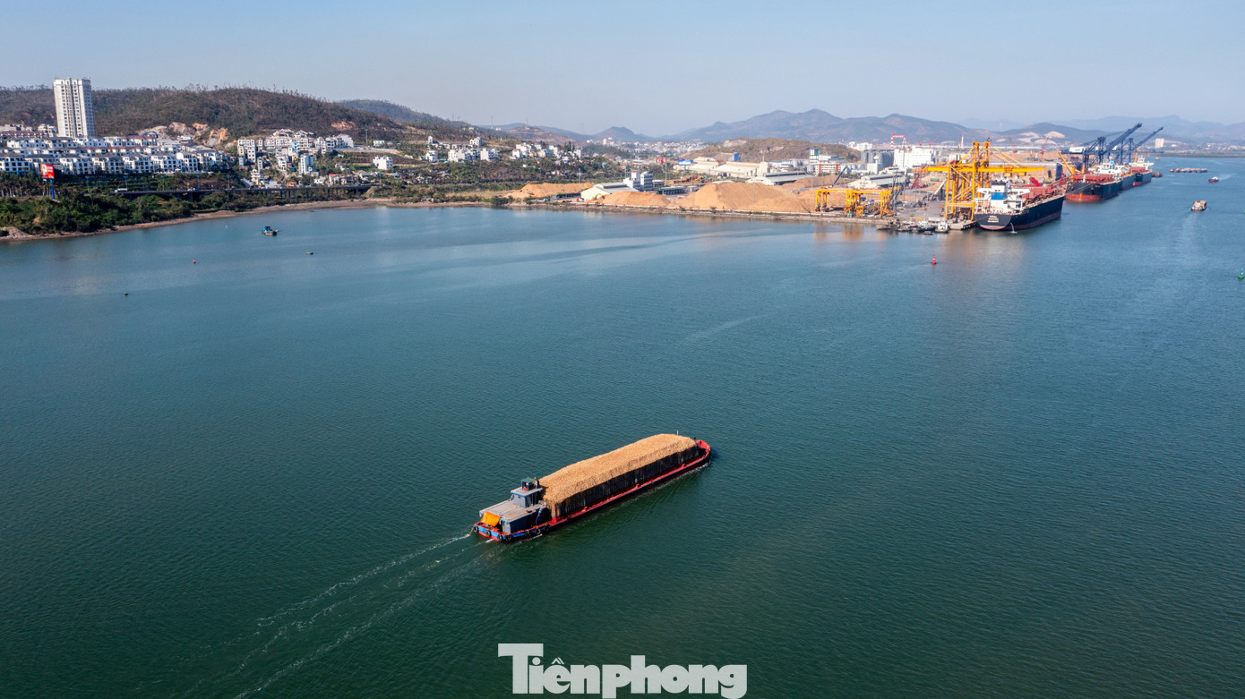 Theo tìm hiểu, hiện tại trên địa bàn TP Hạ Long có khoảng 24 doanh nghiệp hoạt động trong lĩnh vực sản xuất, vận chuyển, tập kết và kinh doanh dăm gỗ. Các doanh nghiệp này nằm tập trung tại KCN Việt Hưng, KCN Cái Lân, cảng Cái Lân và xung quanh cảng này.