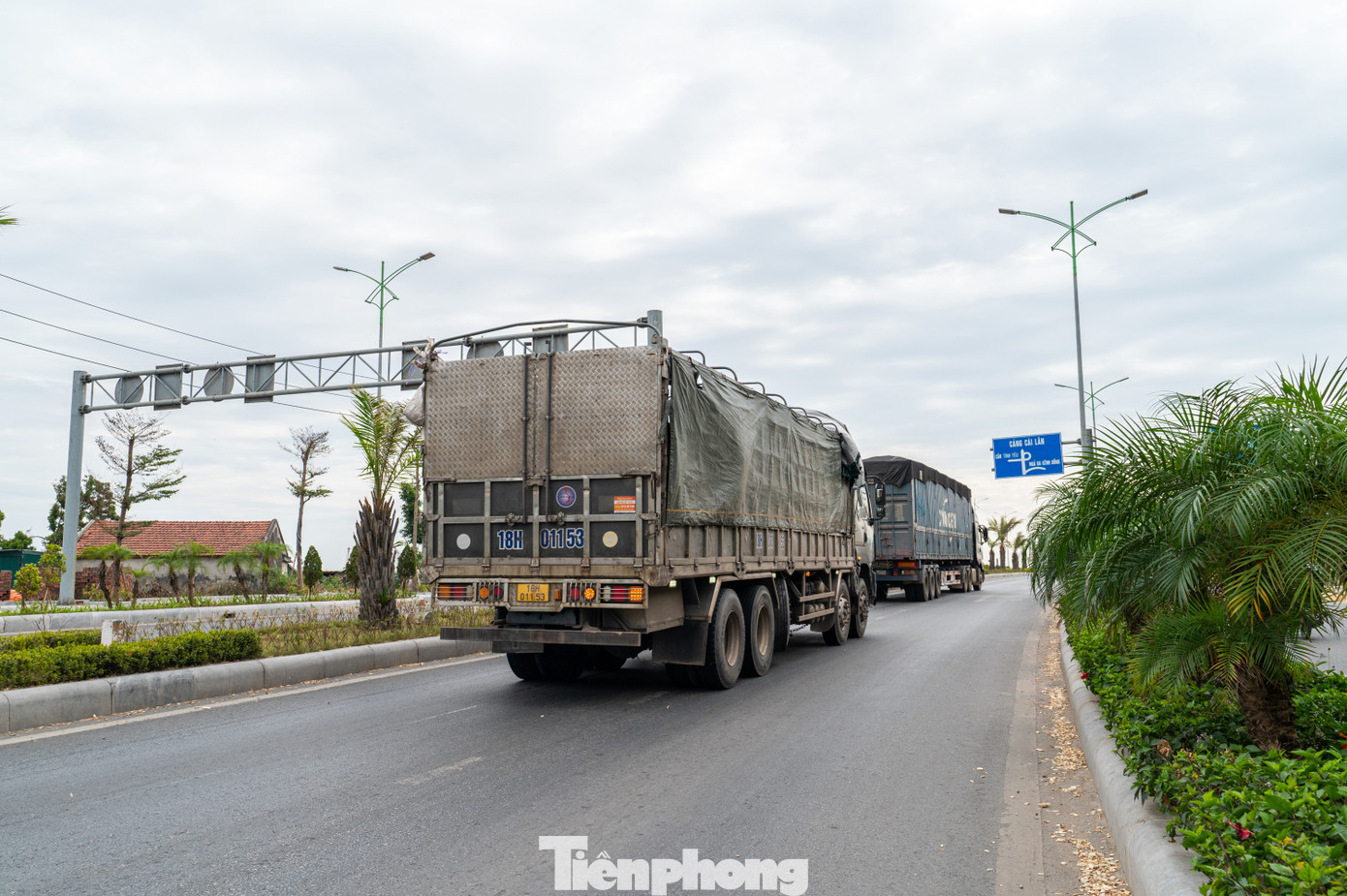 Ghi nhận của báo Tiền Phong trên tuyến đường Quốc lộ 279 nối KCN Việt Hưng với KCN Cái Lân, đường Lê Thánh Tông nút giao cầu Tình Yêu nối cảng Cái Lân với cao tốc Quảng Ninh - Hải Phòng - Hà Nội, từng đoàn xe chở dăm gỗ kéo nhau trên đường chạy với tốc độ cao.