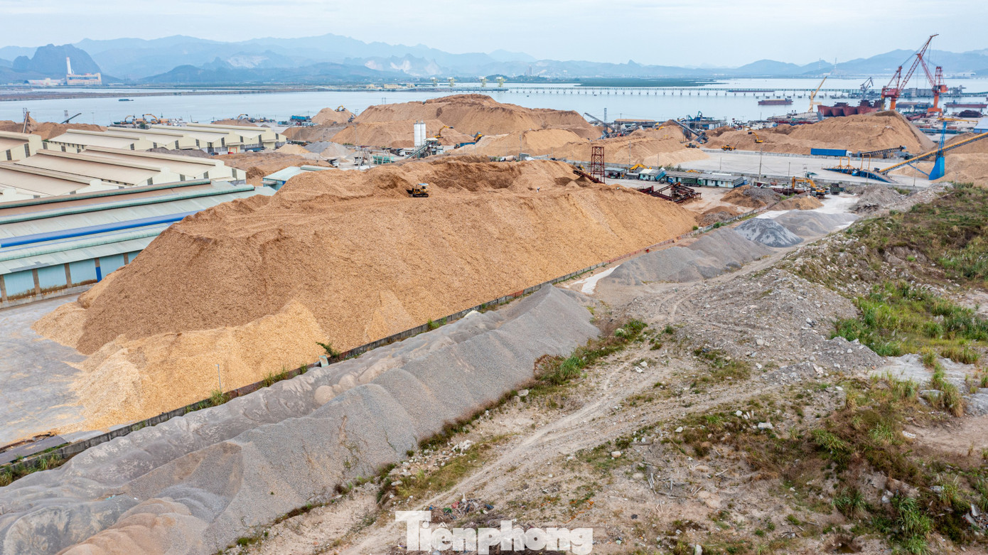 Ngoài ra, việc các doanh nghiệp lưu trữ dăm gỗ tại các bãi ngay sát biển cũng quá cao, nhìn từ xa không khác những quả “đồi” dăm gỗ và khi không được che phủ, gặp gió sẽ phát tán bụi dăm gỗ, gây ô nhiễm môi trường nước.