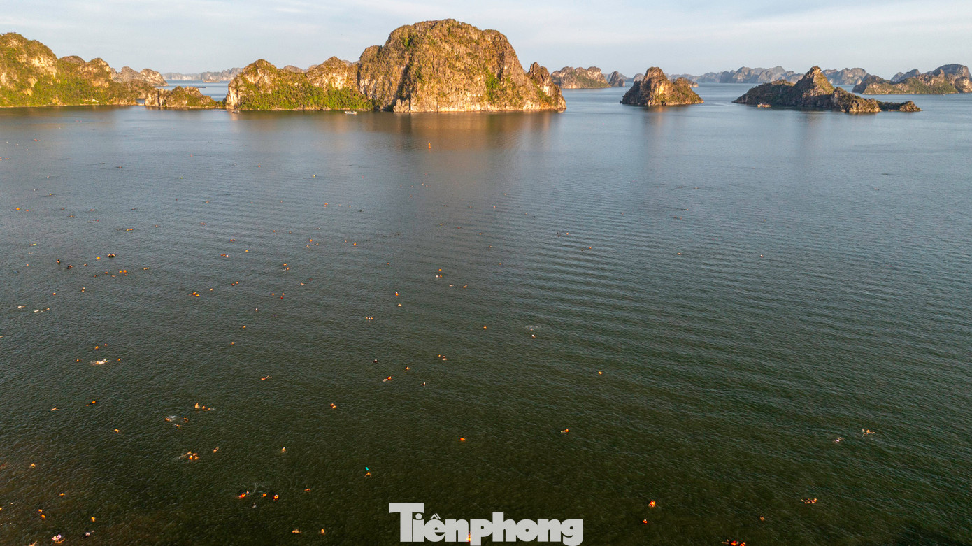 Ông Đào Tất Thắng, Giám đốc Ban quản lý các dịch vụ công ích TP Hạ Long, thừa nhận hiện trạng bãi tắm Hòn Gai thiếu phao quây an toàn. Ông Thắng, cho biết nguyên nhân do hệ thống phao quây trước đây đã bị bão số 3 - YAGI (Đổ bộ vào Hạ Long tháng 9/2024) làm hư hỏng và bị cuốn trôi. Ông Đào Tất Thắng, Giám đốc Ban quản lý các dịch vụ công ích TP Hạ Long, thừa nhận hiện trạng bãi tắm Hòn Gai thiếu phao quây an toàn. Ông Thắng, cho biết nguyên nhân do hệ thống phao quây trước đây đã bị bão số 3 - YAGI (Đổ bộ vào Hạ Long tháng 9/2024) làm hư hỏng và bị cuốn trôi.