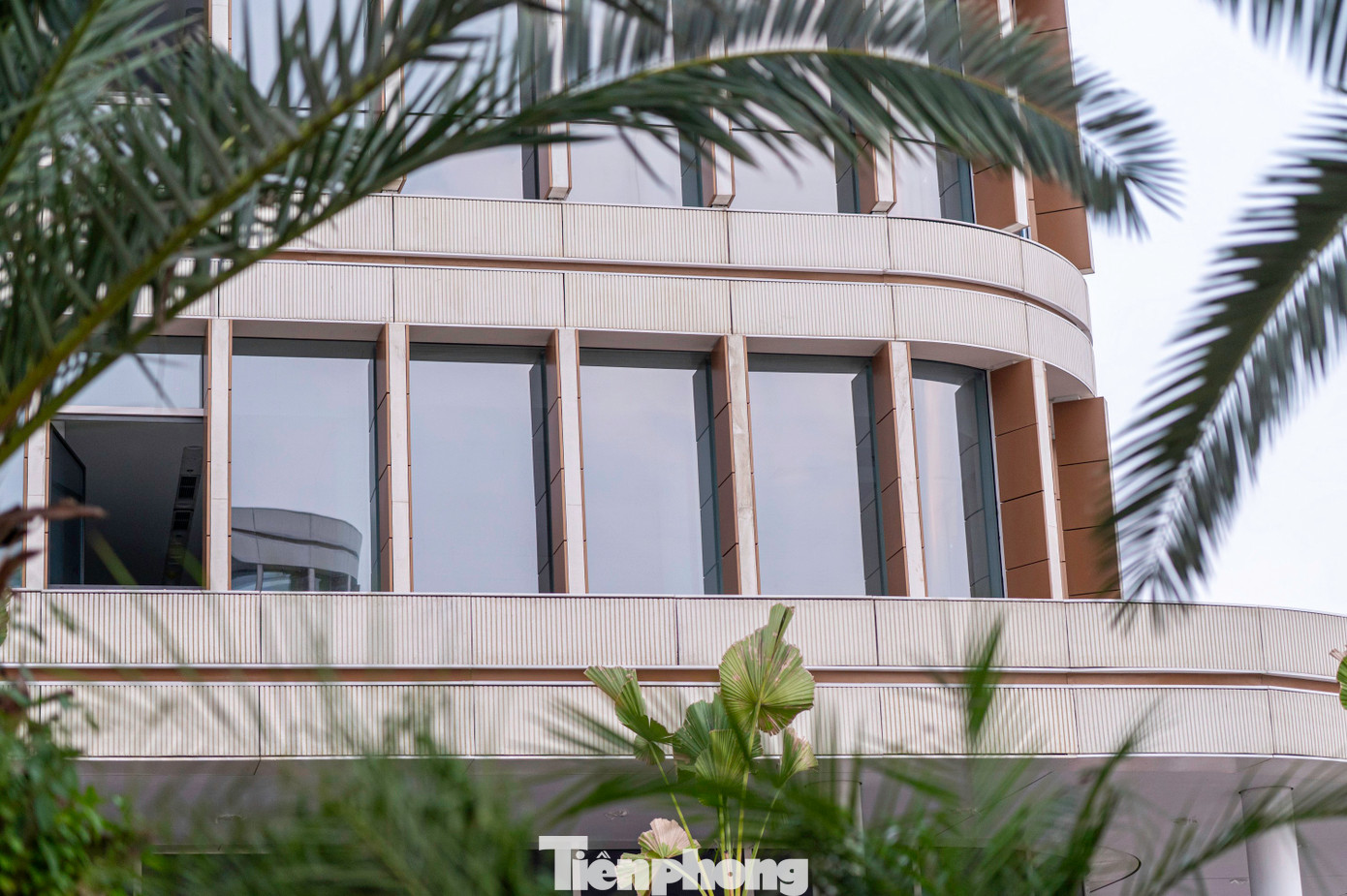 Cây xanh được trồng xung quanh khuôn viên các tòa nhà để tạo cảnh quan, bóng mát và giúp không gian được xanh hơn.