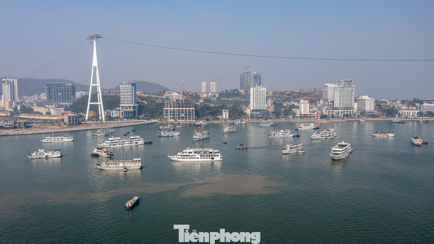 Tại khu vực bến cảng, tàu xếp hàng dọc bến và vùng vịnh để đón khách.