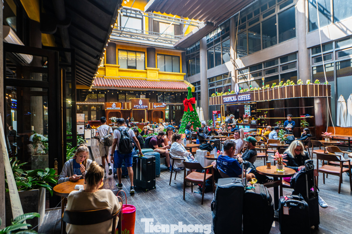 Thành phố cũng đang tiếp tục hiện thực hóa hai đề án thành phố của hoa và thành phố của lễ hội.