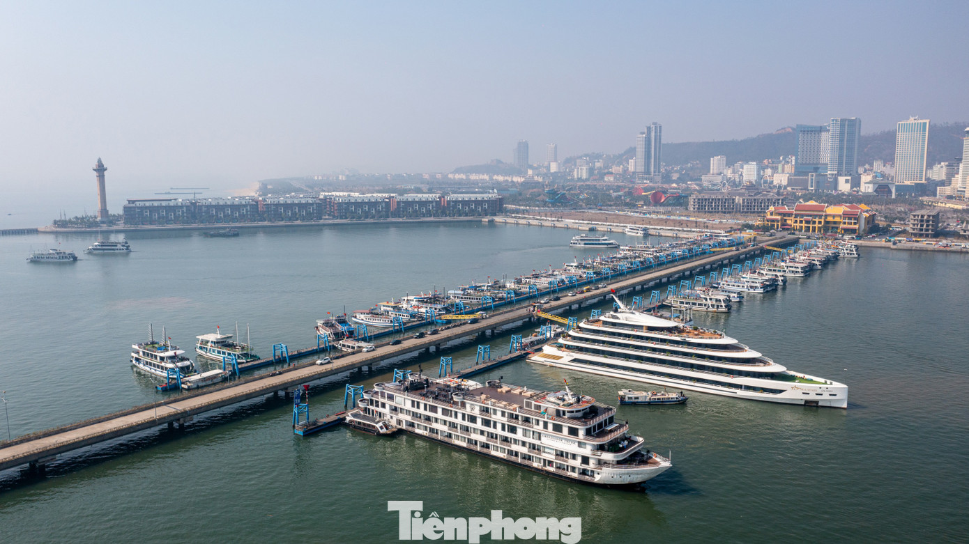 Tại khu vực bến cảng, tàu xếp hàng dọc bến và vùng vịnh để đón khách.