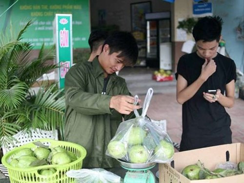 Khi showbiz Việt bị biến thành… cái chợ! ảnh 1