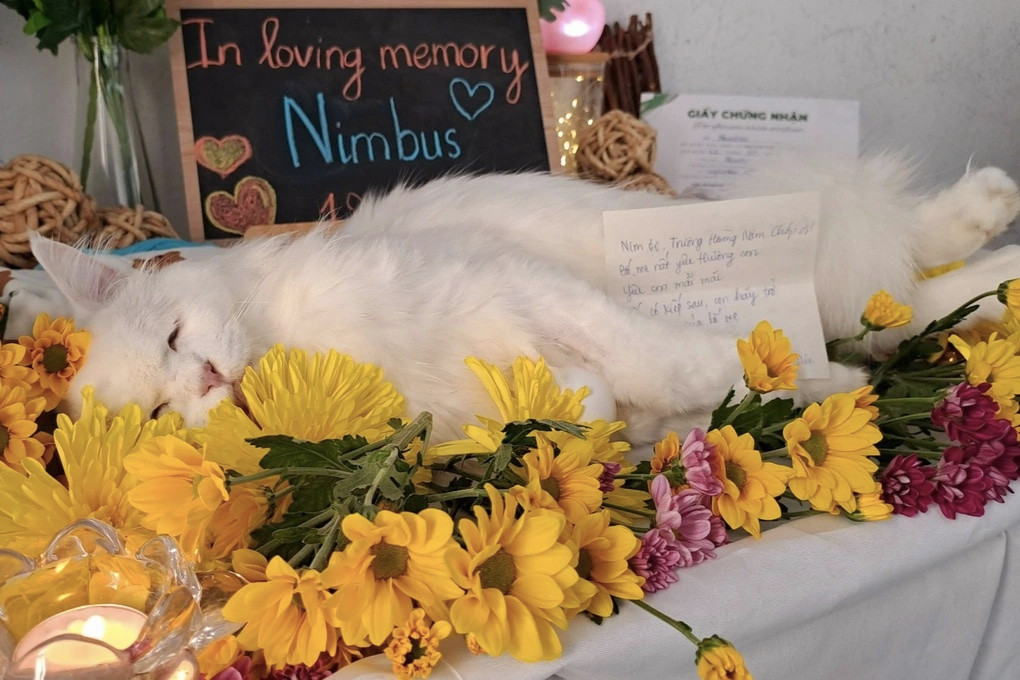 Những lời gửi gắm của chủ nhân đến vật nuôi đã qua đời khiến anh Trung nhiều lần xúc động (Ảnh: Nhân vật cung cấp).