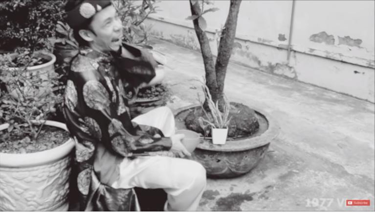 Cụ cố Hồng và cây lan "đột quỵ".