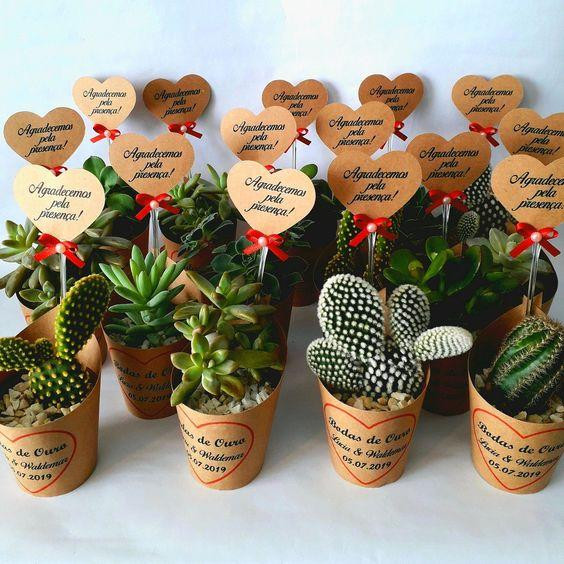 Chậu cây cảm ơn xinh xắn nhưng chứa đựng nhiều ý nghĩa.