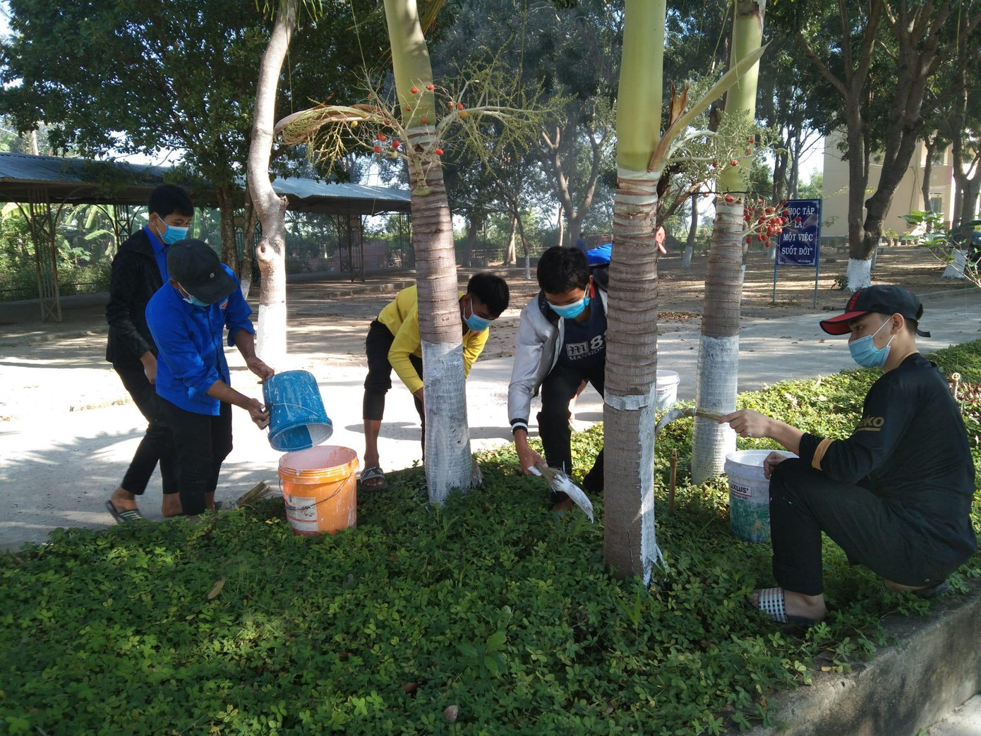 Học sinh THPT Võ Văn Kiệt (Gia Lai) quét vôi để bảo vệ thân cây. Học sinh THPT Võ Văn Kiệt (Gia Lai) quét vôi để bảo vệ thân cây.
