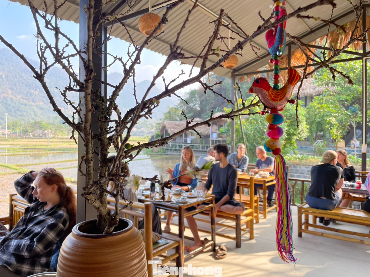 Du khách được hòa mình vào thiên nhiên.